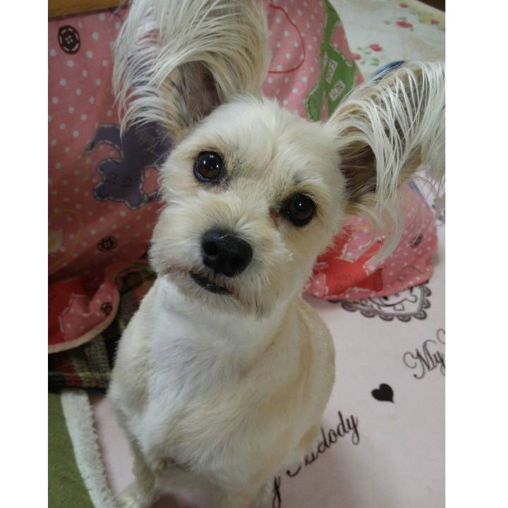 1c99e689 578b 4ced b76c 4b6c1f51c6f4