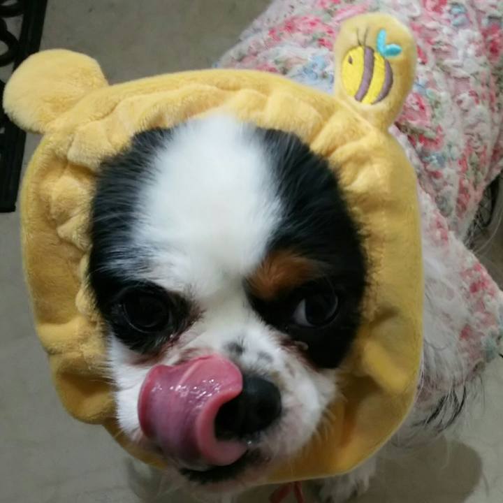 1c9a4c8e 1934 4243 98bb 54c328de8b03