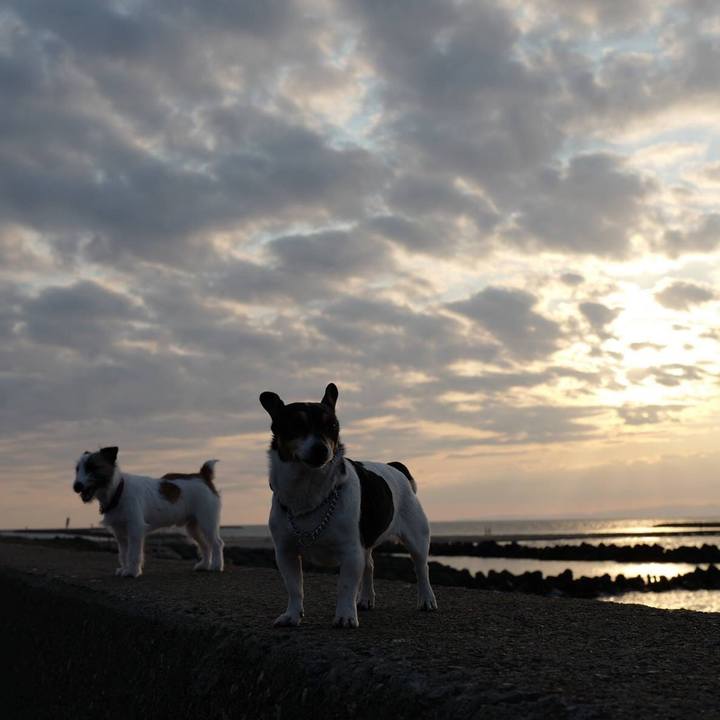 1c9a74a3 612e 4c99 b510 64b10f2480e2