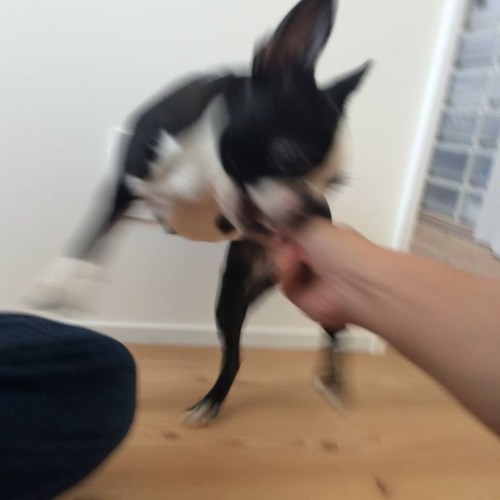 1c9b71ee 9b5f 42a8 bab3 065664e4ddf8