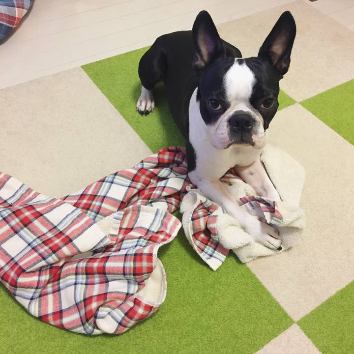 1c9b909d 0b71 49ff a112 0eabe319109a