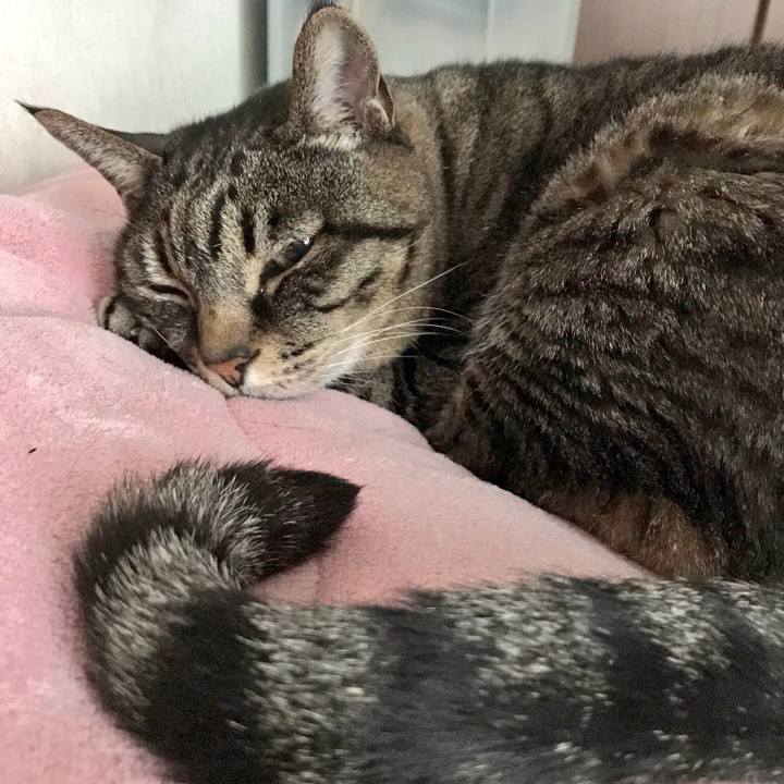 1c9c254f 744b 4fdf b633 6f56ea406f4a