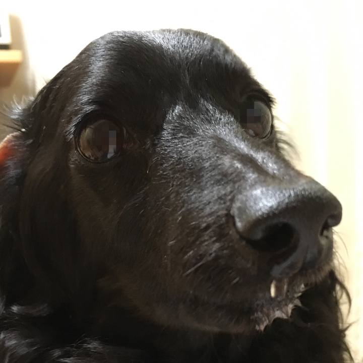 1c9c2f10 8c6e 415a 8e65 e7e922669a9c