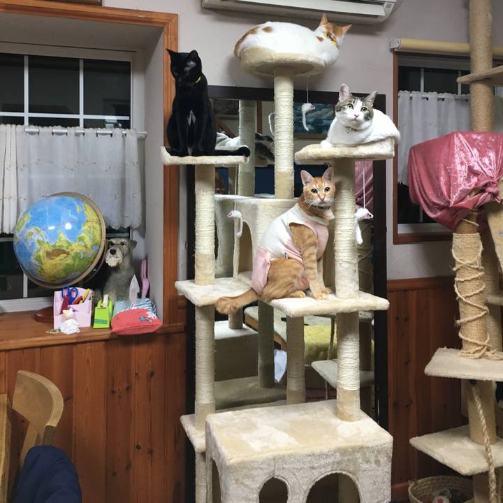 1c9cdcee d97a 457d aafd f0c27e094374