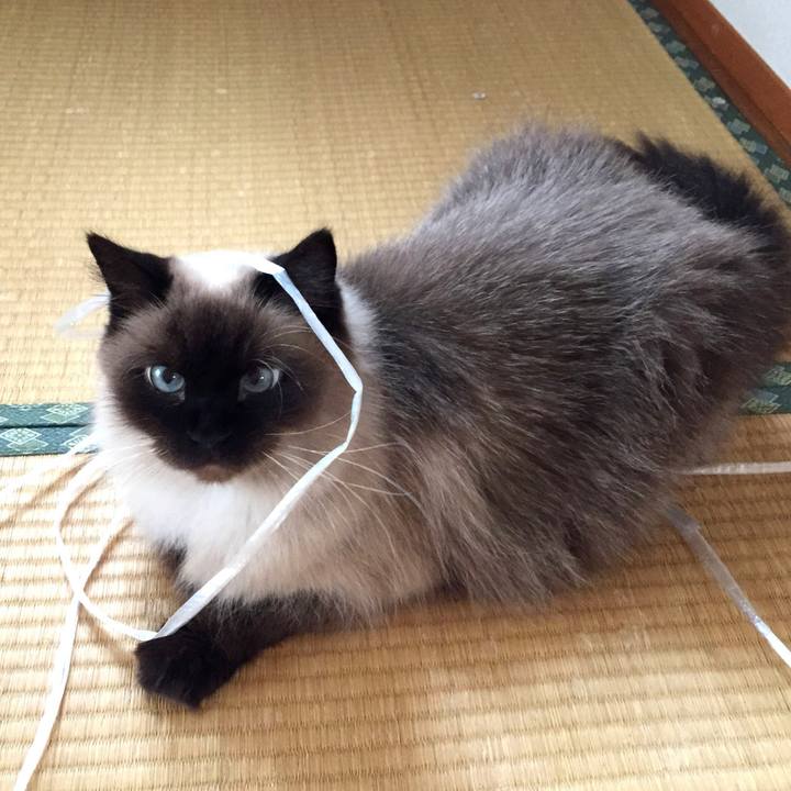 1c9d0b6e 38bc 4188 b500 265b649fde41