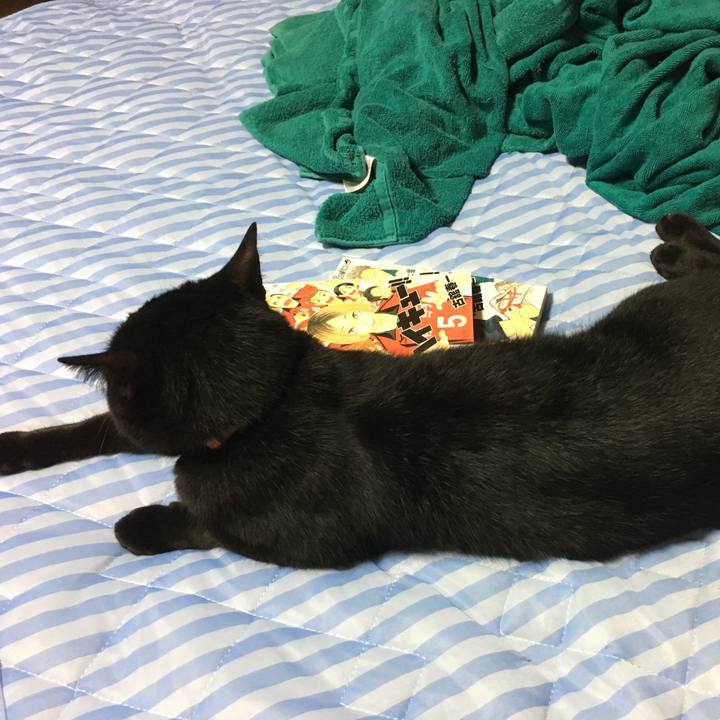 1c9d55f0 09f1 48a4 b680 13170434368d