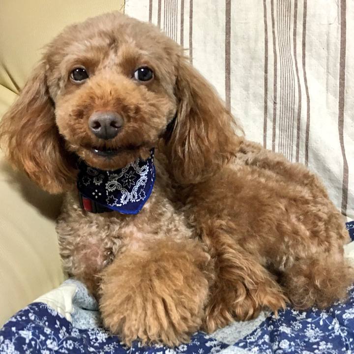 1c9d73a6 280d 4420 88d1 8fc2cd4c6135