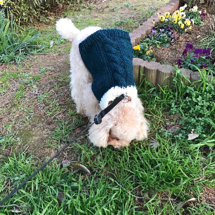 1c9d76e3 ede5 4b4e a62c d8a91fef6f71