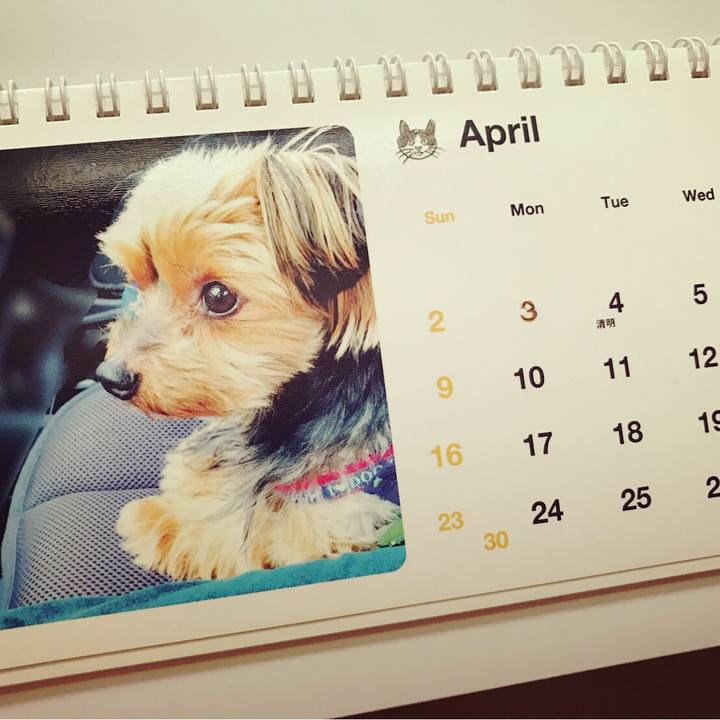 1c9d7853 e97b 4ecb 8147 39a86f0ea369