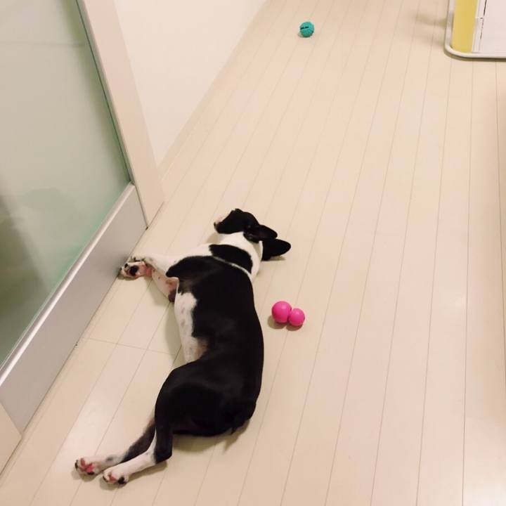 1c9d9003 c63e 40bd a654 cce683259eb1