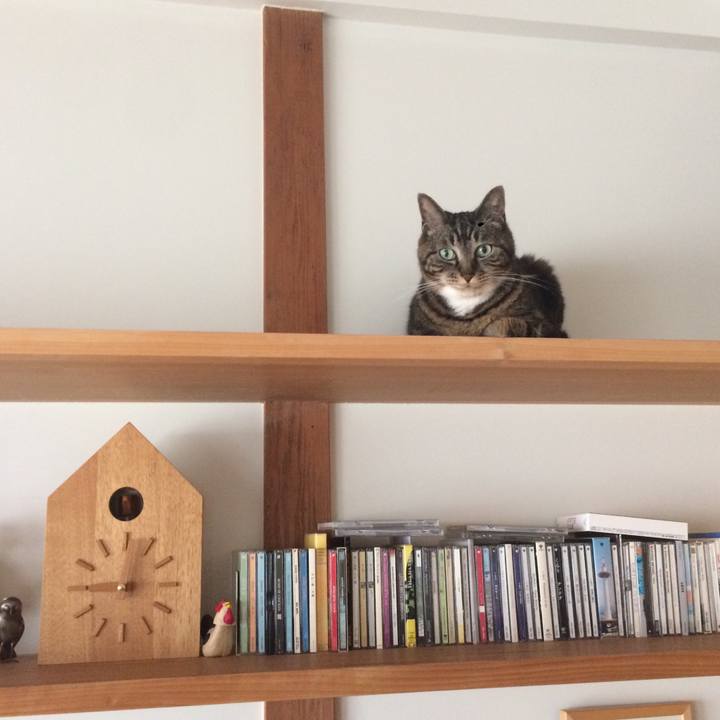 1c9da41c 1bb9 4dc1 af12 57e4f337017b