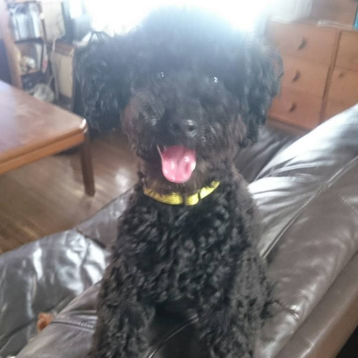 1c9dd5f5 db5f 4571 a07b 59dbda226dd0