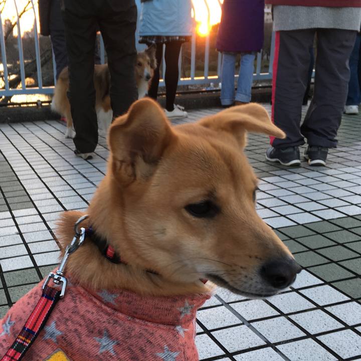 1c9ddf20 2be4 4188 8dc3 f44349499c20