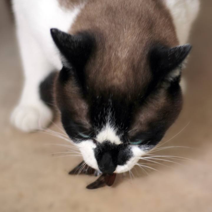 1c9e1f3c d0e9 42f9 80a9 0c635eca5b2f