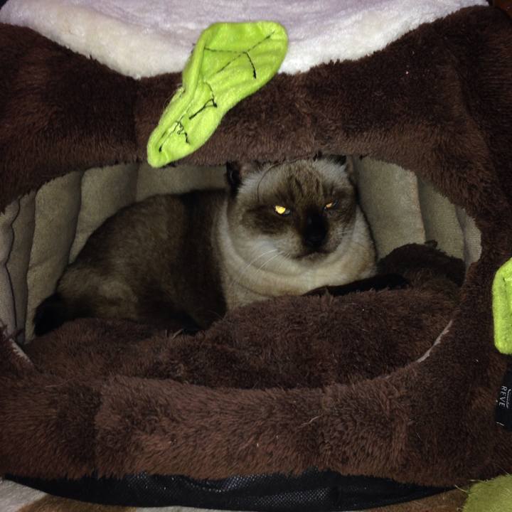 1c9e89d7 c12f 4510 9a01 0be1a8f982fe