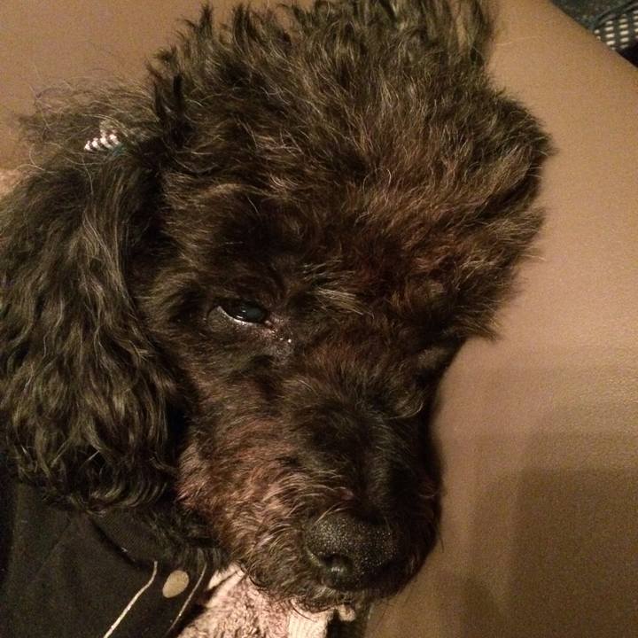 1c9e8ab0 9d25 4a9d 98a8 65ebfc78dfdd