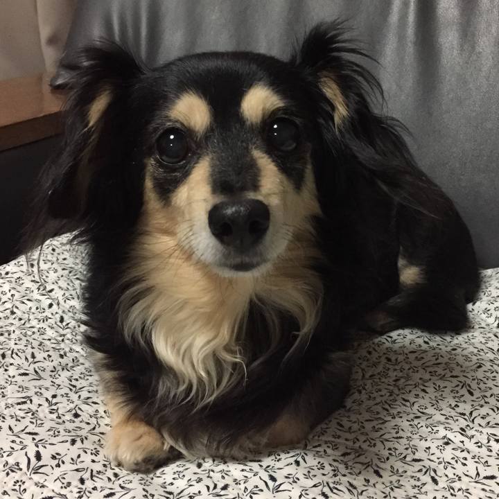 1c9e9644 e565 4f4f 83bf 01b5d5745f8c