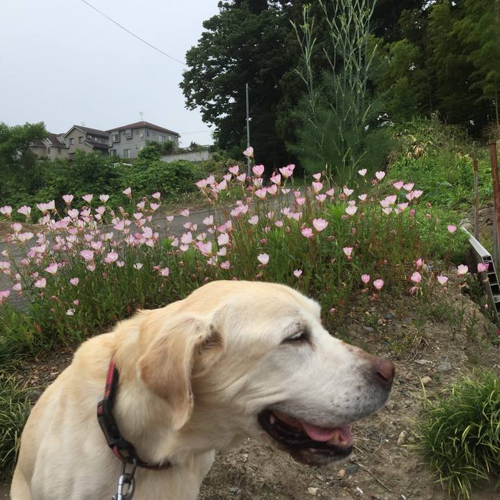 1c9f2c5a bb30 453b a2fe bf453aa3f8f7