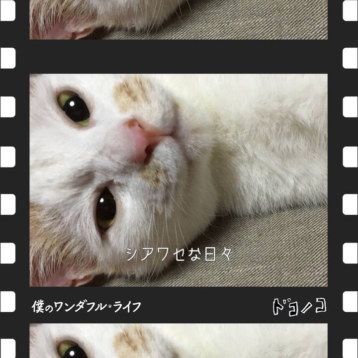 1c9f67ac 438f 47a9 ade5 b6e074cc538d