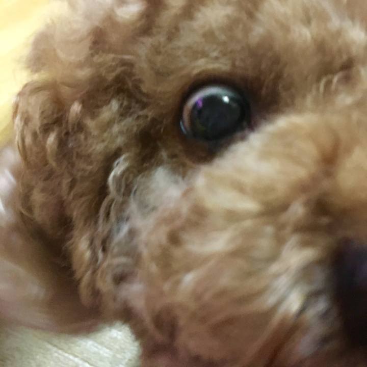 1c9f82ae 747d 43e8 9488 60e3344ba365