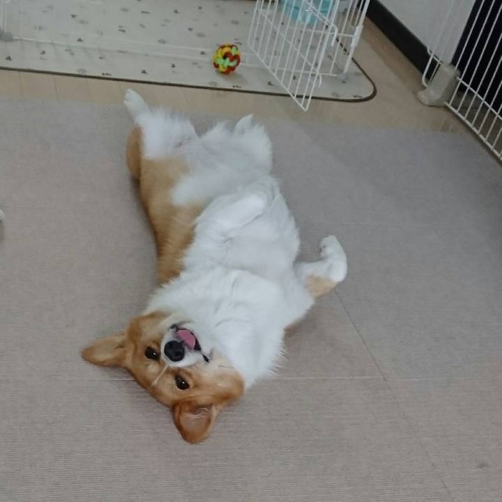 1ca05d29 e885 4409 bb9f ade03132ddb4