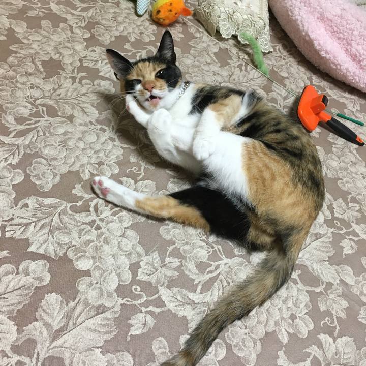 1ca0bc57 f7d2 4e24 abd9 316befa5c18b