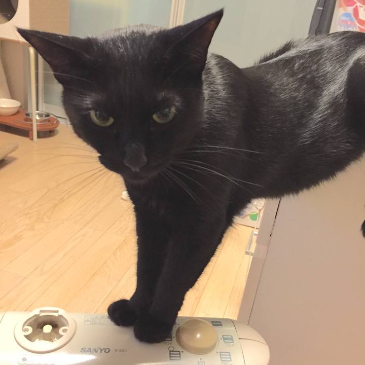 1ca13c97 04d4 4d1b a5db 7ef9a6fb0803