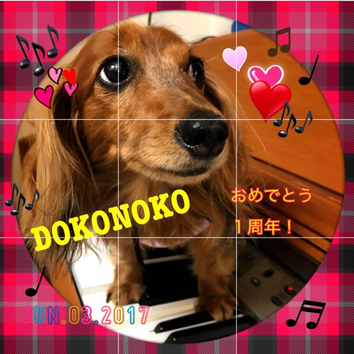 1ca13cfe cd30 44c8 8b4c 0405468a0936