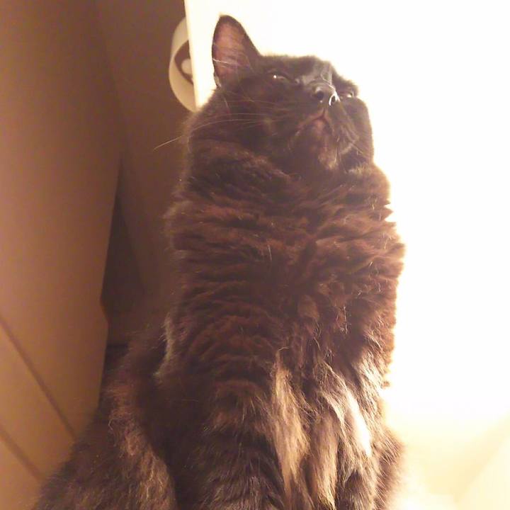 1ca1cf30 a616 49f4 8cf2 95beb538da23