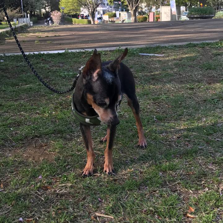 1ca24a75 089c 4f57 a489 a2b19e8c1a50