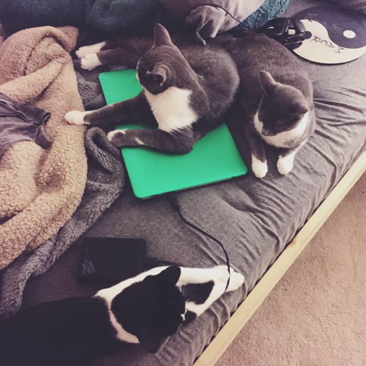 1ca2d441 0567 41f0 b788 116a6162dccc