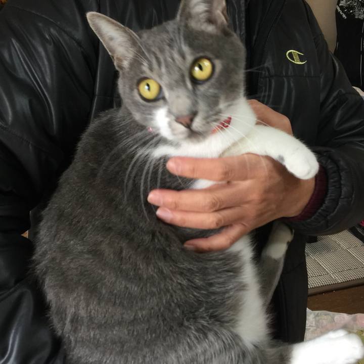 1ca38b19 3233 4556 82c2 45a721abedfa