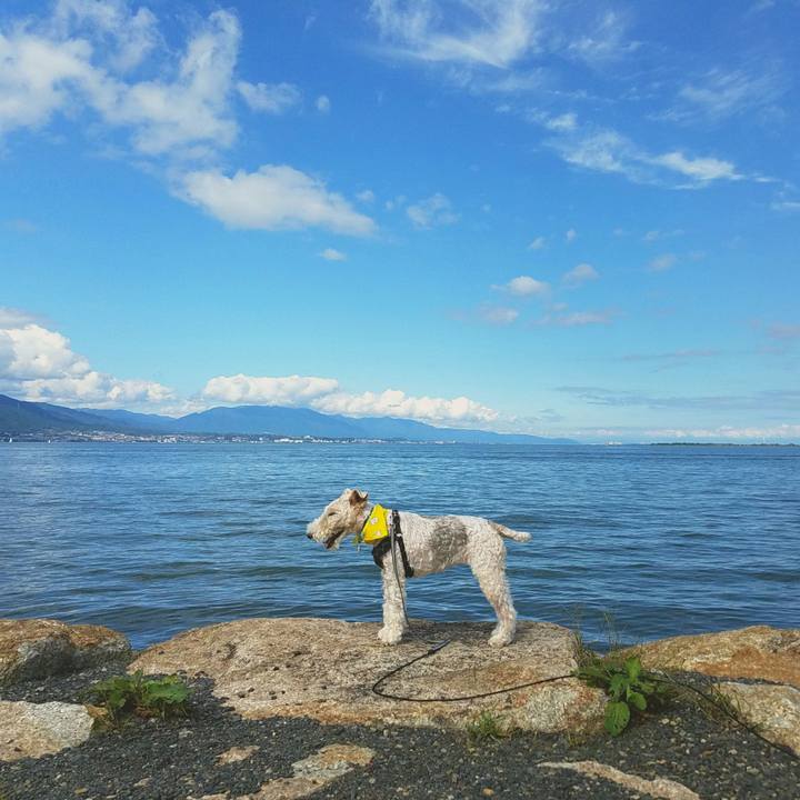 1ca3be03 de09 4231 aa71 3211d66fbac8