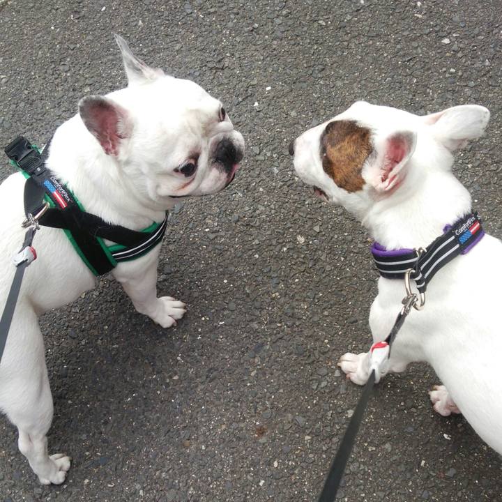 1ca3e5b0 7fd8 4d30 ae47 2f4104b6cec9