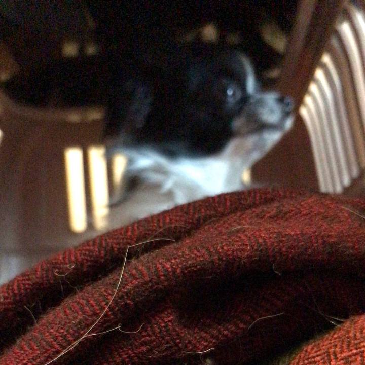 1ca3f937 463d 44c0 a821 e1778698ab4f