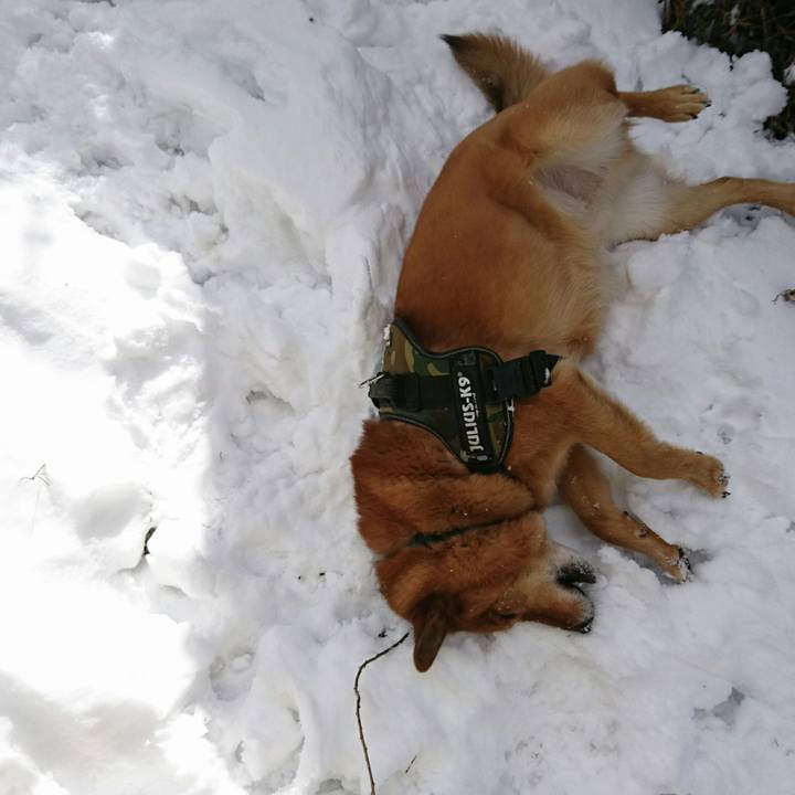 1ca41dbd 773c 49de 92b5 a7a4103c96fb