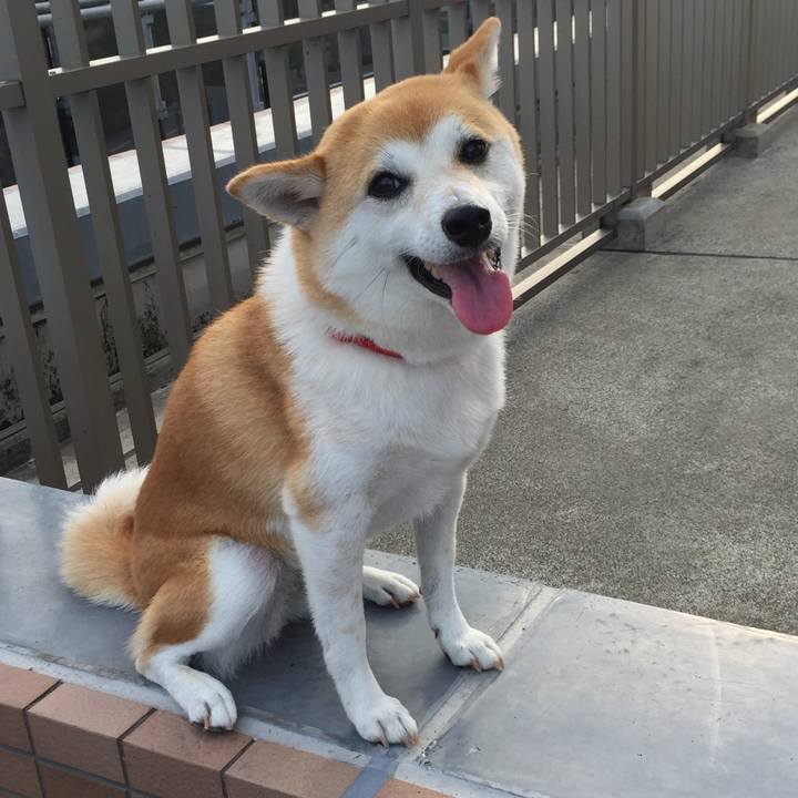 1ca485a3 70e4 47e8 a691 bb97ec8bb968