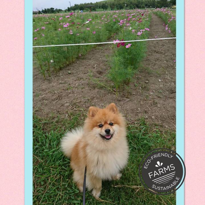 1ca4c1b9 9d8f 40fe 8749 86aa7ae1e9e9