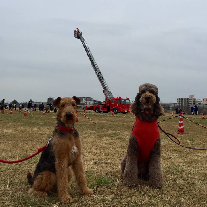 1ca4ebd4 1862 4b70 86e2 57f9b019f10b