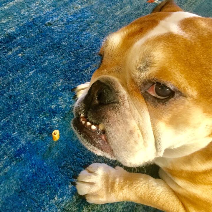 1ca7183a 169b 4bc2 b929 84bb6e129817