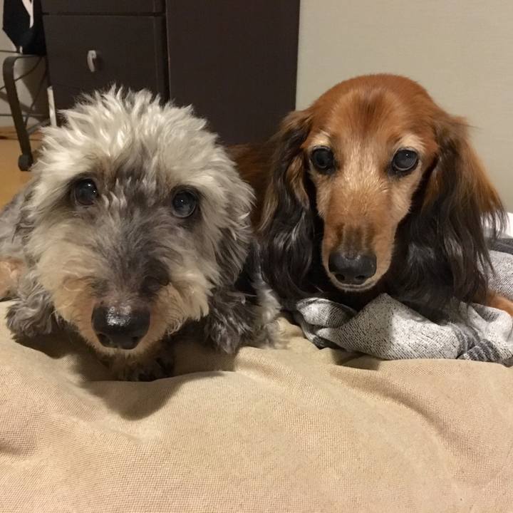 1ca77b71 cec7 4d4d 8757 1ec696e45fbd