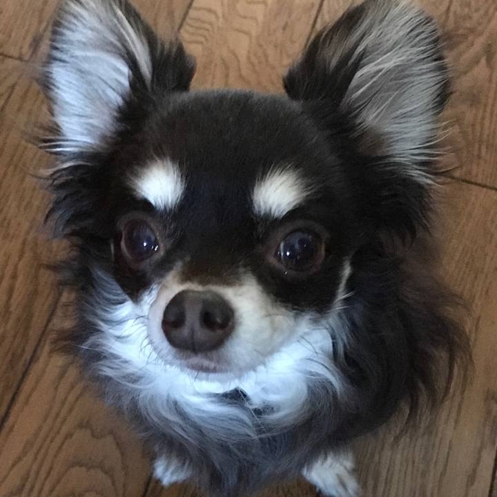 1ca7bb96 d178 42bc 8f30 01880fb906b4