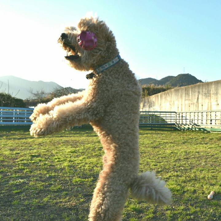 1ca8406e 42ec 486e ac83 d7b098e3a19d