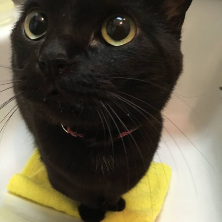 1ca8e6eb b782 427a 9d7e 9143bcc446da