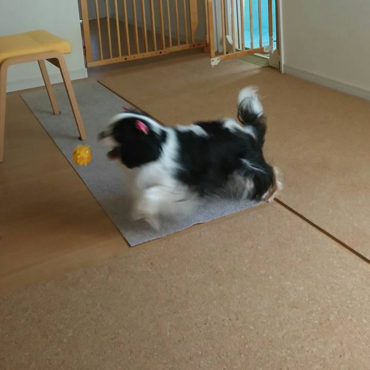 1ca92129 9ffe 4a7a 8ae4 1f0b35d061e5