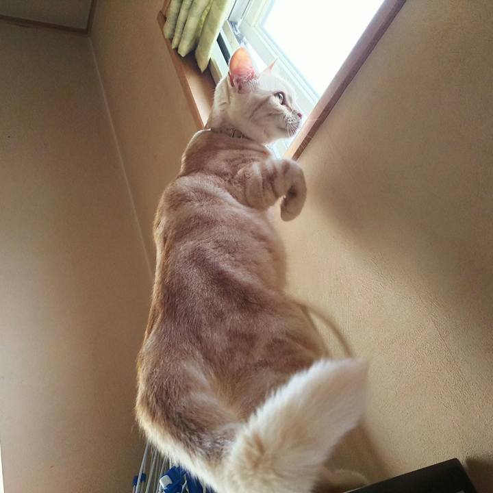 1ca9710a d28b 4879 8a85 115e53cd535b