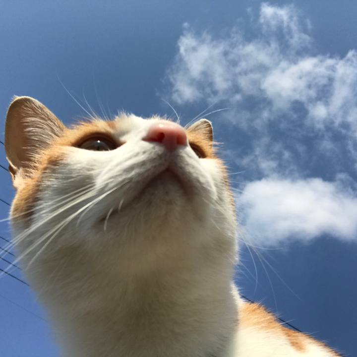 1ca99e5a 20cb 46d7 b5d4 194db133cc47