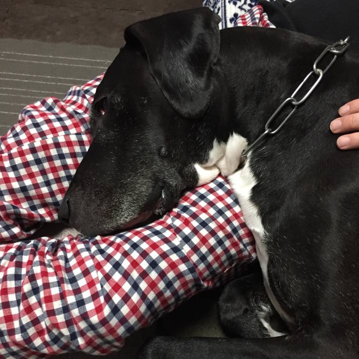 1ca9be30 9b6f 47bc 8ed4 2a10306f0383