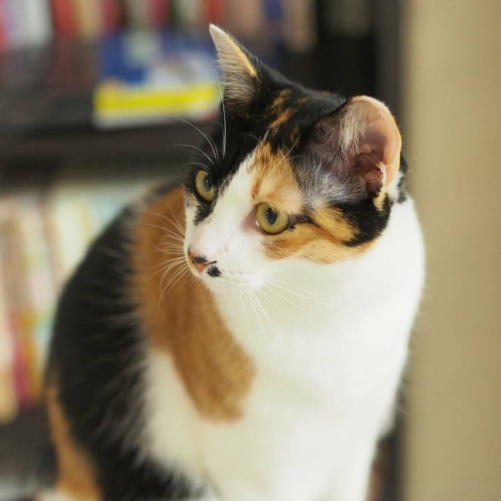 1caa16d7 ed5b 40d2 9f59 21d9bfaddc97