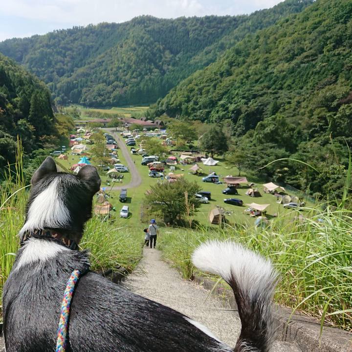 1caa56d1 0761 4ef4 add7 36972690e677